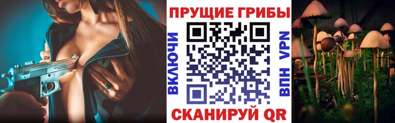 omg Кемерово Псилоцибиновые грибы Psilocybine cubensis наркошоп