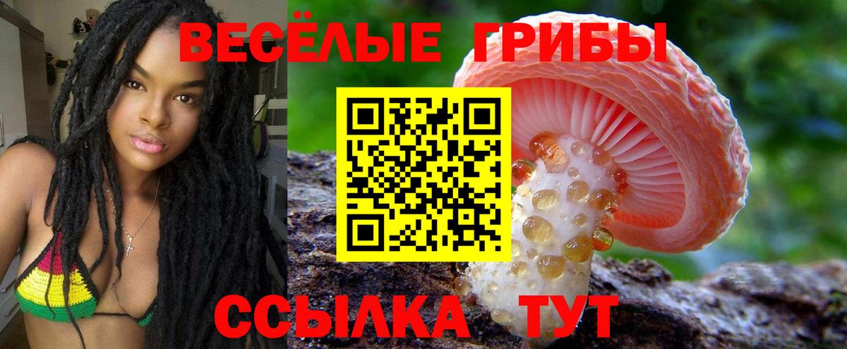 Галлюциногенные грибы Psilocybe  Вход с VPN  Кемерово 