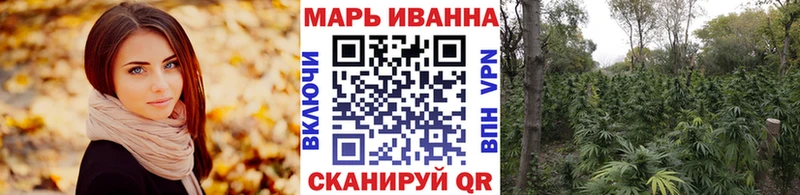 Бошки марихуана марихуана  Кемерово 